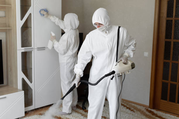 Why You Should Choose Our Mold Remediation Services in Christiana, TN